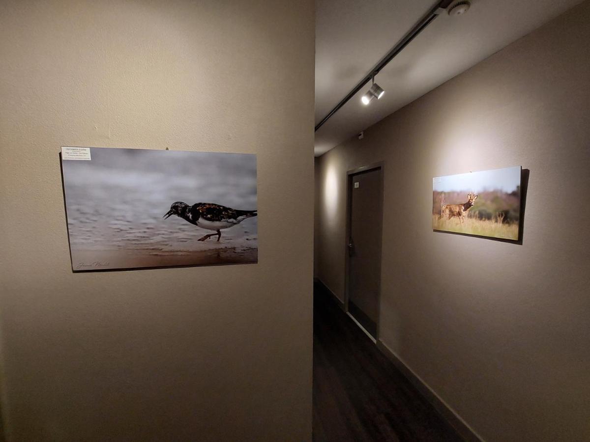 Logis Hotel - Les Pasteliers Lavaur  Zewnętrze zdjęcie